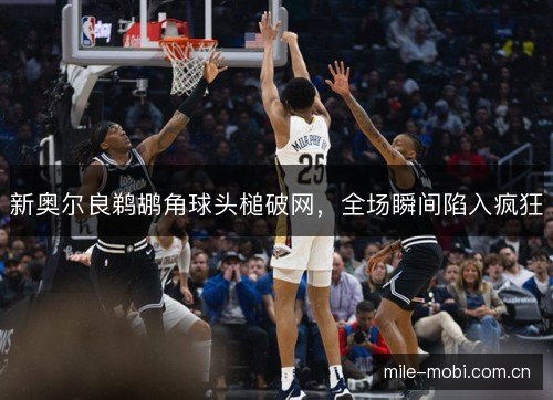 新奥尔良鹈鹕角球头槌破网，全场瞬间陷入疯狂